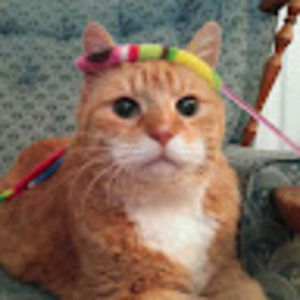 Meet your Posher, 383_